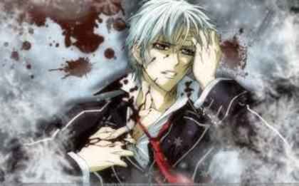 images (28) - vampire knight