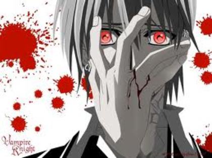 images (18) - vampire knight