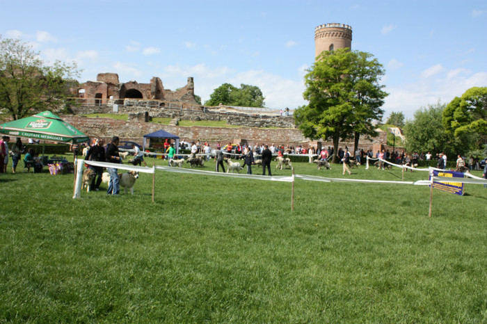 IMG_5728 - Targoviste 20 05 2012