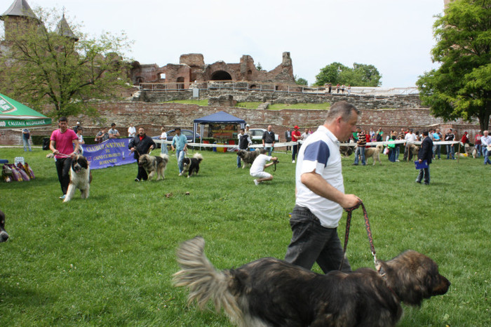 IMG_5826 - Targoviste 20 05 2012