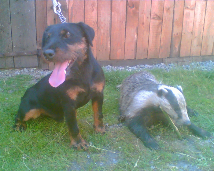 Aga-As Von Hertelend - Aga-As Von Hertelend