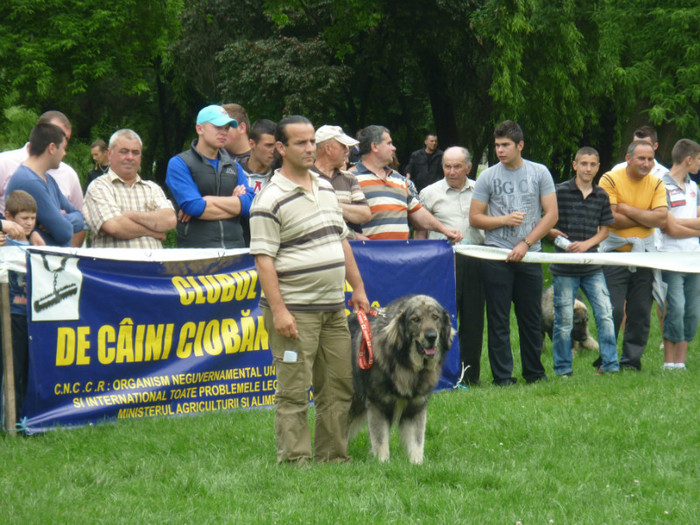 P1050565 - Targoviste 2012