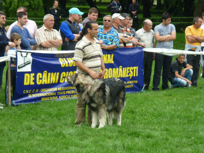 P1050566 - Targoviste 2012