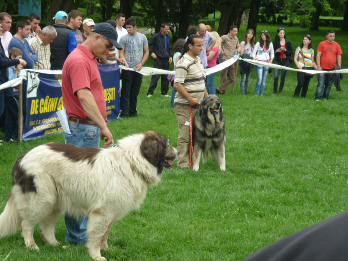 P1050567 - Targoviste 2012