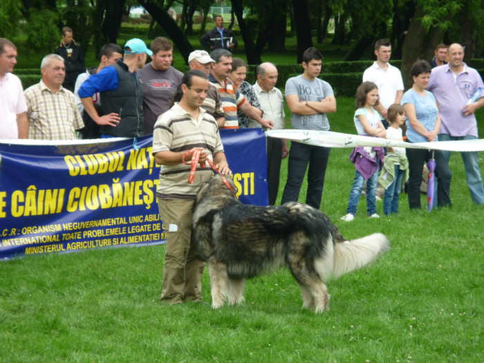 P1050575 - Targoviste 2012