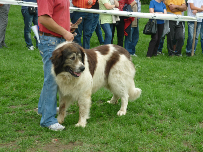 P1050576 - Targoviste 2012