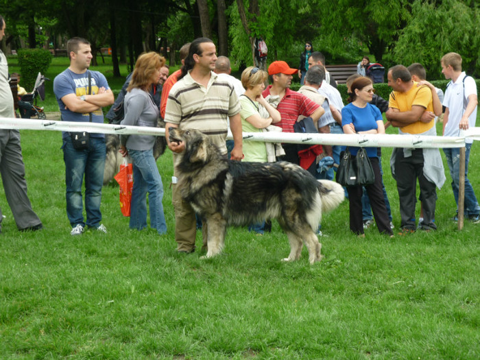 P1050578 - Targoviste 2012