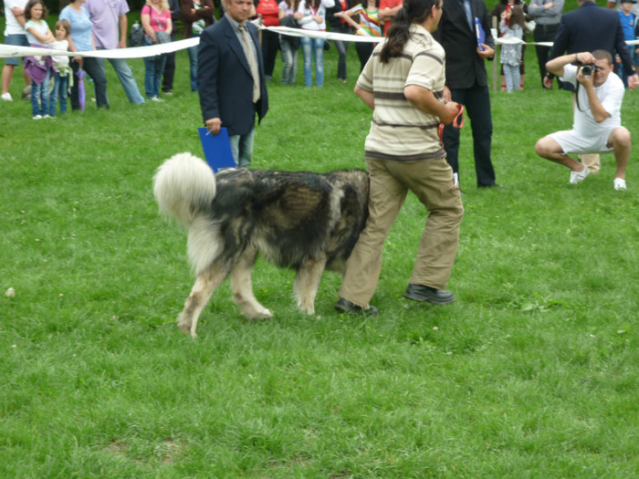 P1050579 - Targoviste 2012