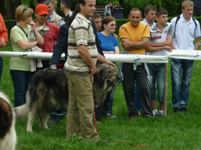 P1050583 - Targoviste 2012