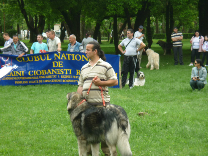 P1050586 - Targoviste 2012