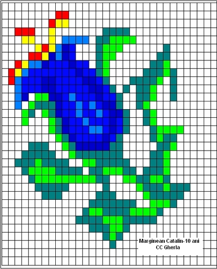 Floare_albastra-Marginean Catalin-10 ani; Clubul Copiilor Gherla
