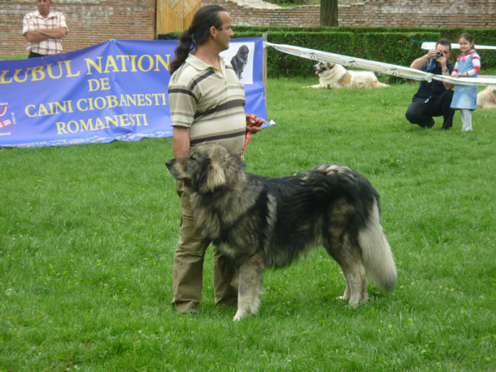 P1050587 - Targoviste 2012