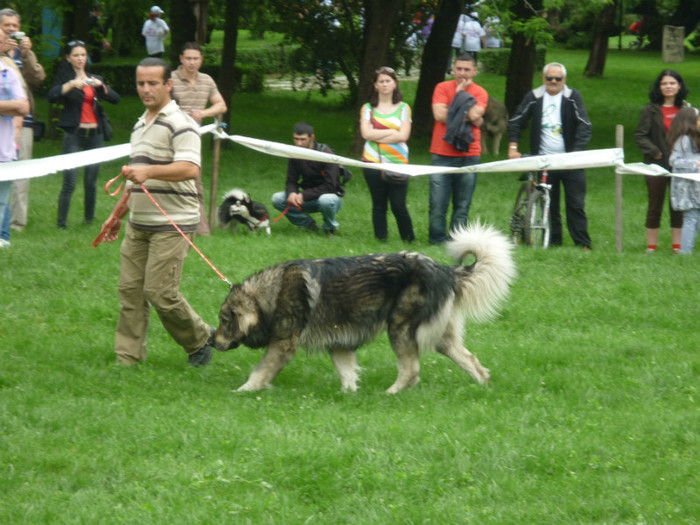 P1050591 - Targoviste 2012