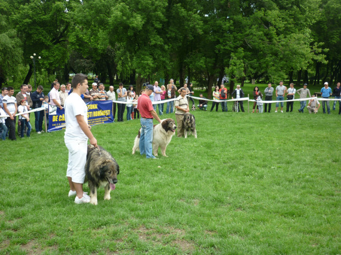 P1050592 - Targoviste 2012