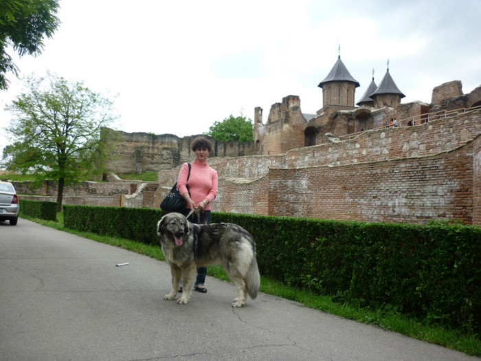 P1050599 - Targoviste 2012