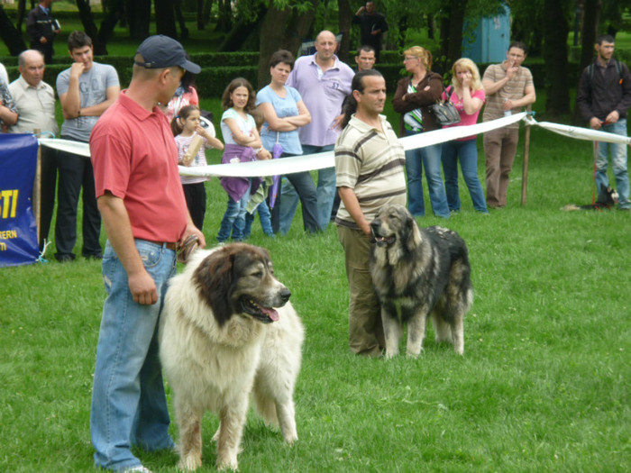 P1050600 - Targoviste 2012