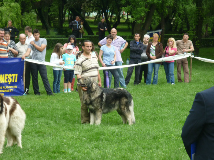 P1050604 - Targoviste 2012