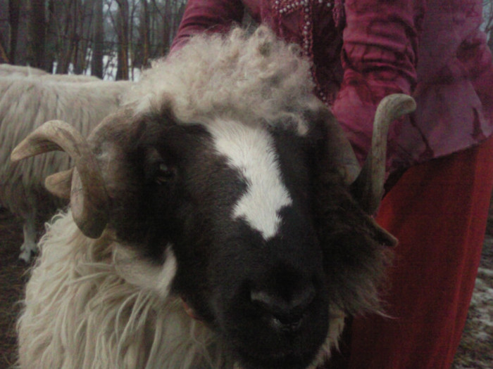 Photo0315