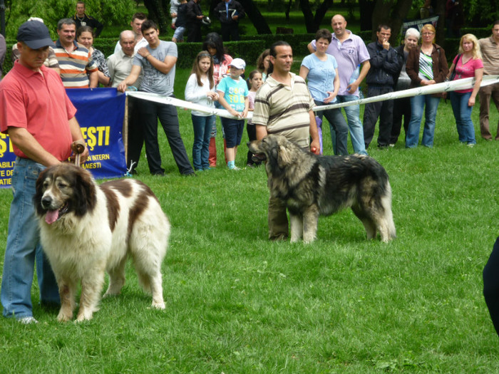 P1050606 - Targoviste 2012