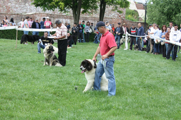 IMG_5791 - Targoviste 20 05 2012