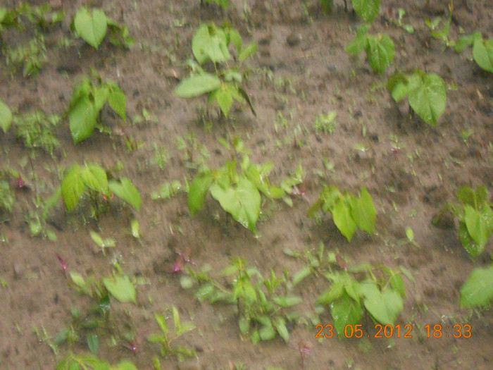DSCN1045
