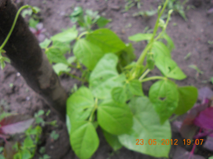 DSCN1054