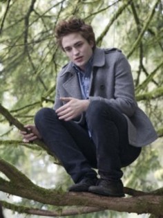 twilight-saga-eclipse5-225x300