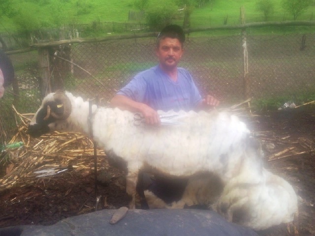 Photo1320 - oi jienesti 1