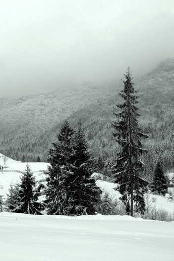 iarna-in-pasul-tihuta1 - Pasiunile mele-fotografia