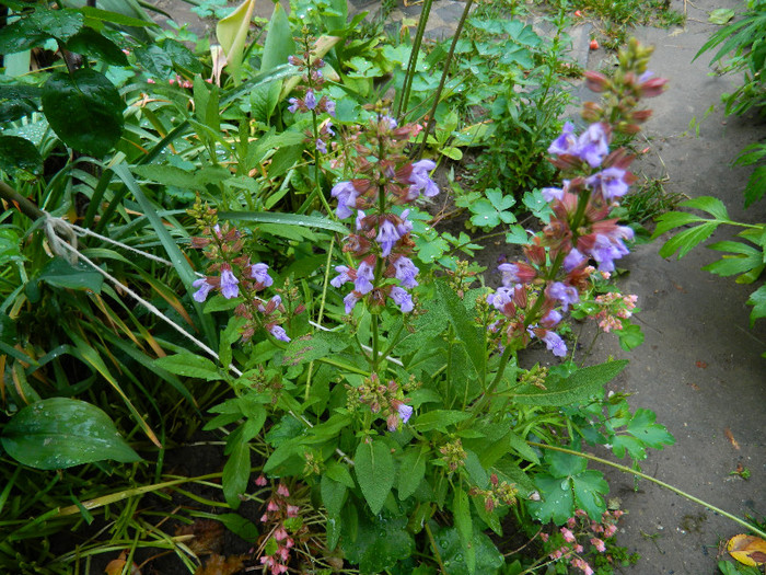 DSCN5318
