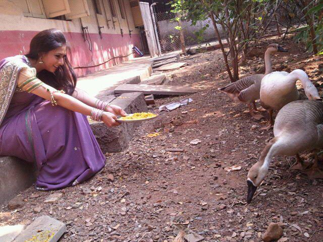 1 (17) - BMTD - Divyanka Tripathi - Picture Gallery