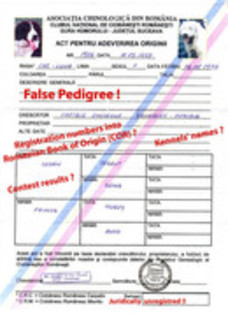 Luna _fals engl - Pedigree false gresite incomplete