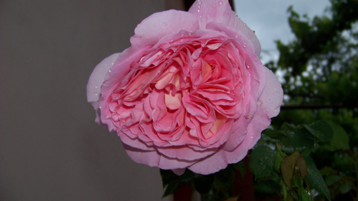 Abraham Darby