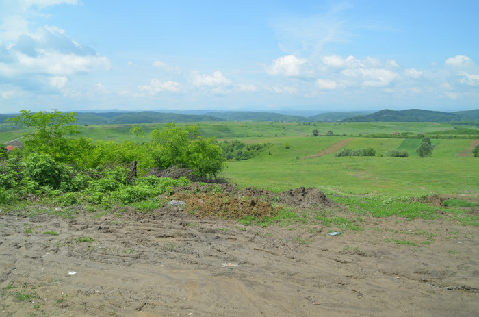 DSC_0408 - motru