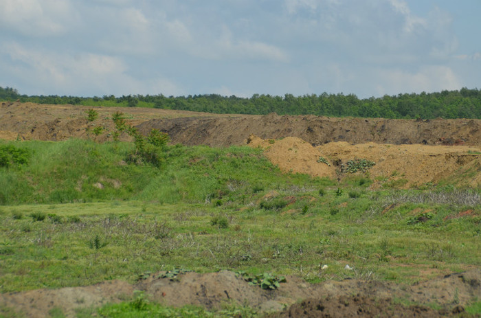 DSC_0420 - motru