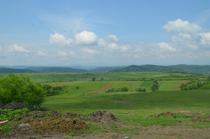 DSC_0480 - motru