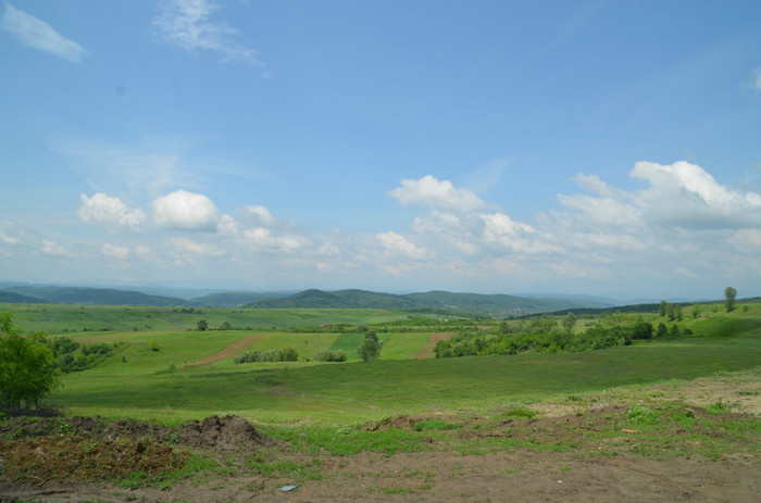 DSC_0483 - motru