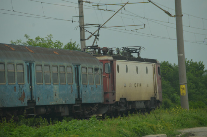 DSC_0636 - motru