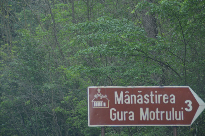 DSC_0646 - motru