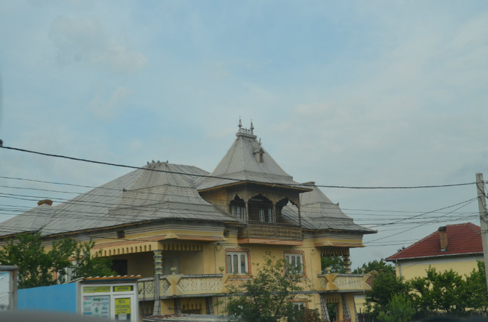 DSC_0656 - motru