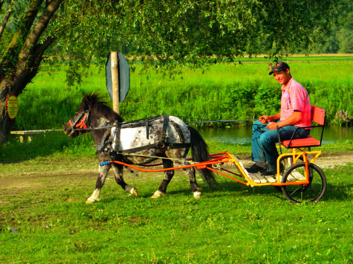 poza 067