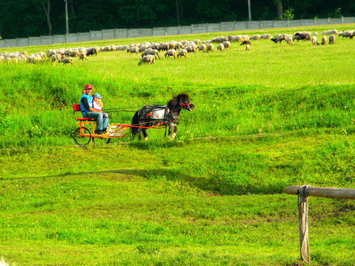 poza 073