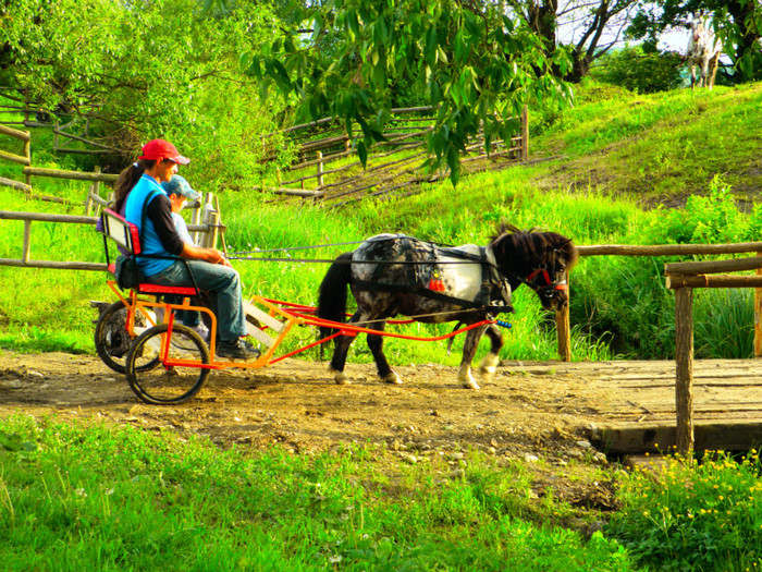 poza 097