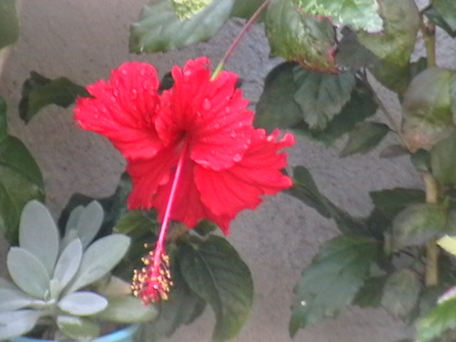 Picture 061
