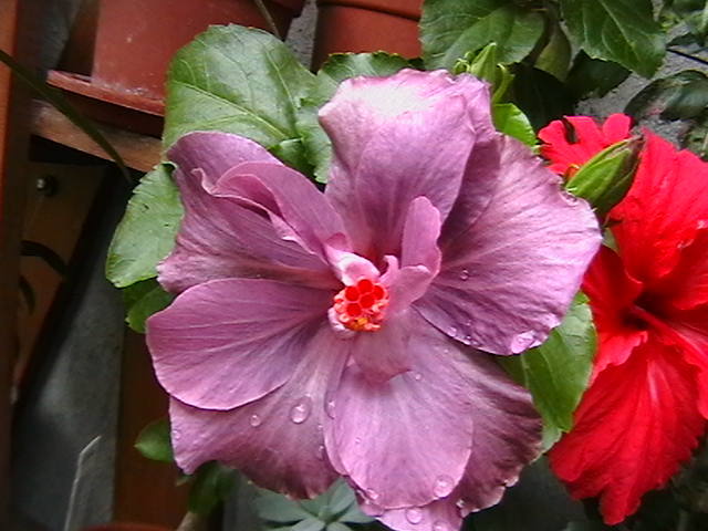 Picture 071