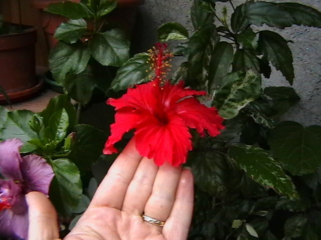 Picture 077