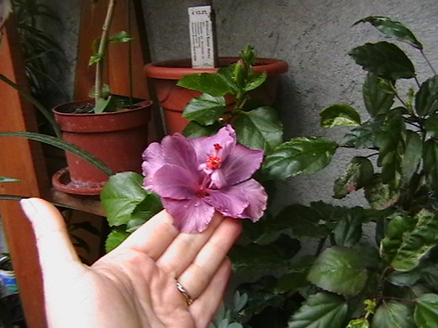 Picture 079