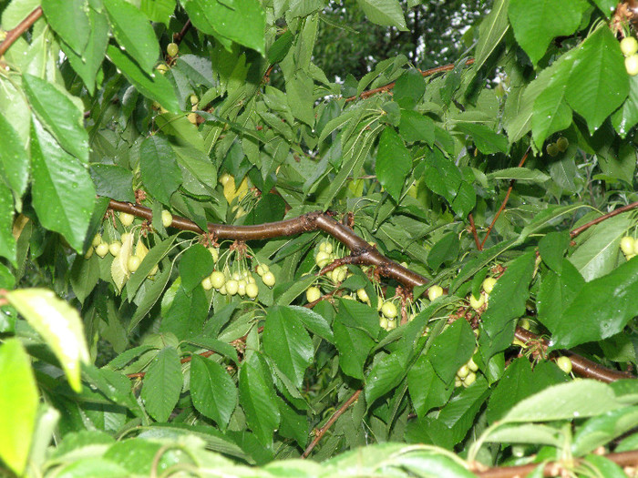 noutati 006