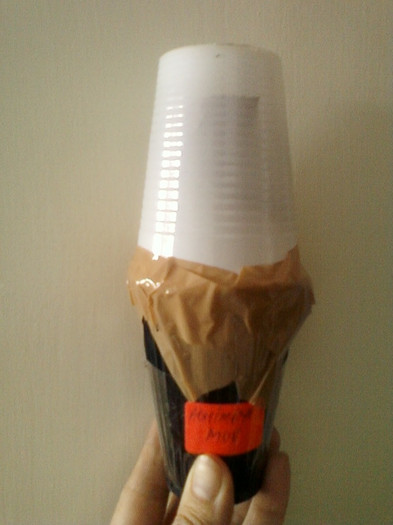 25 mai 2012-flori 020 - primite