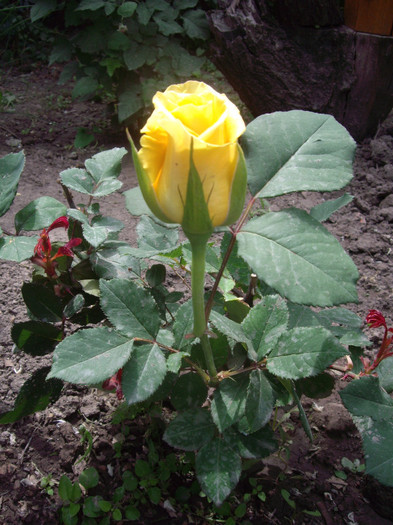 IMGP1870